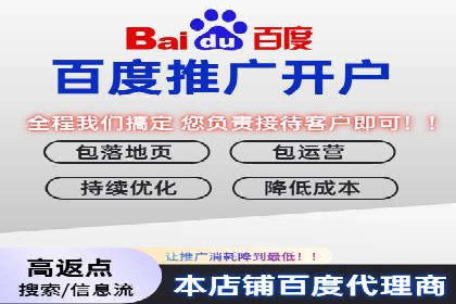专业SEM托管：成功提升广告效果的案例分析